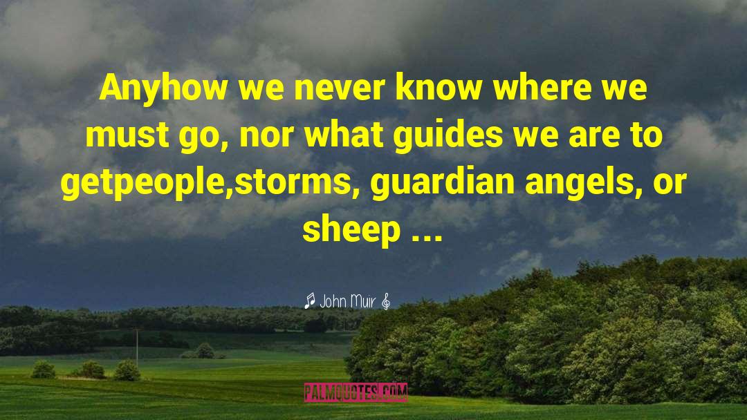 John Muir Quotes: Anyhow we never know where