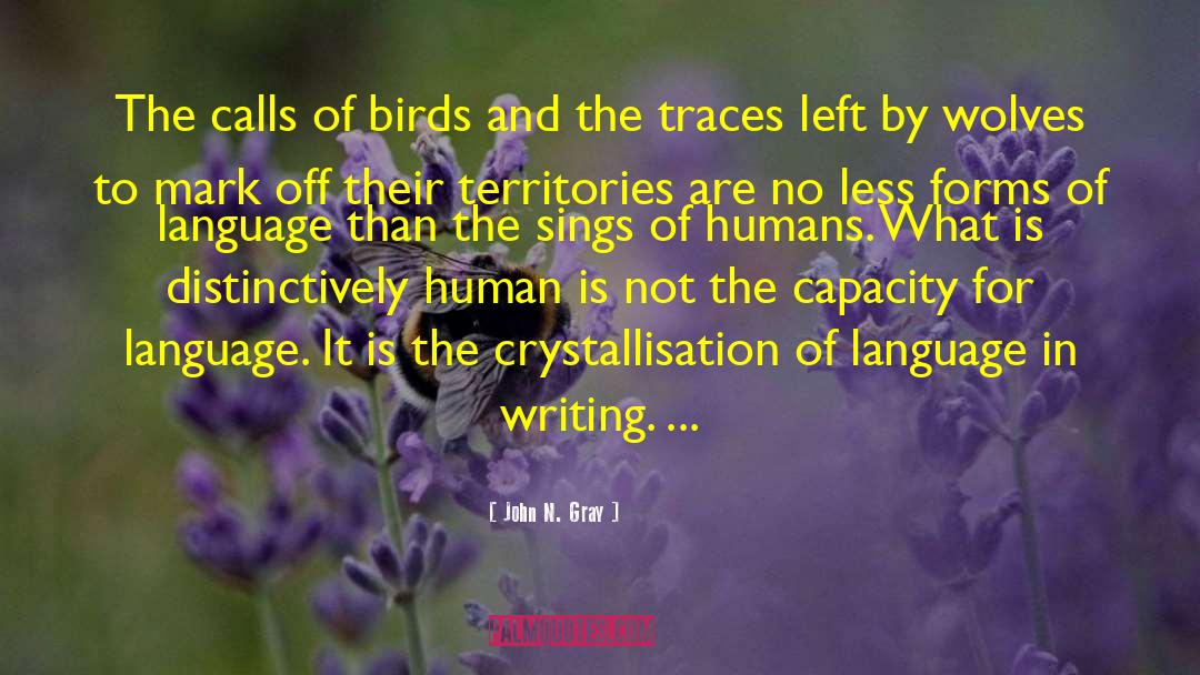 John N. Gray Quotes: The calls of birds and