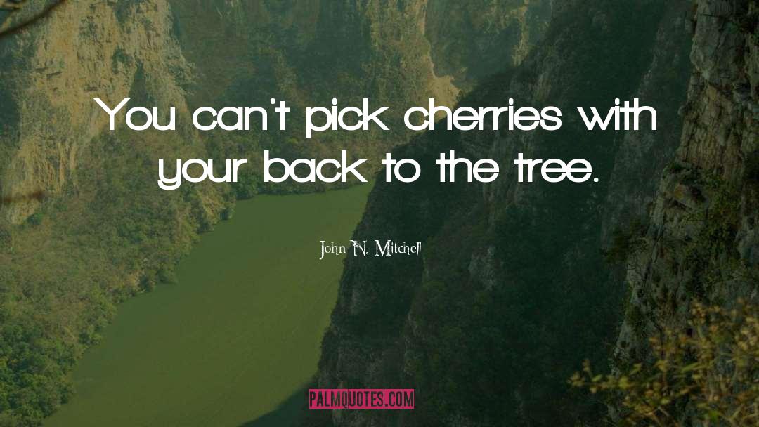 John N. Mitchell Quotes: You can't pick cherries with