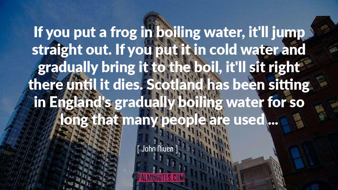 John Niven Quotes: If you put a frog