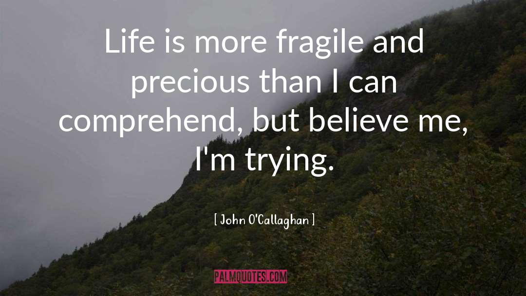 John O'Callaghan Quotes: Life is more fragile and