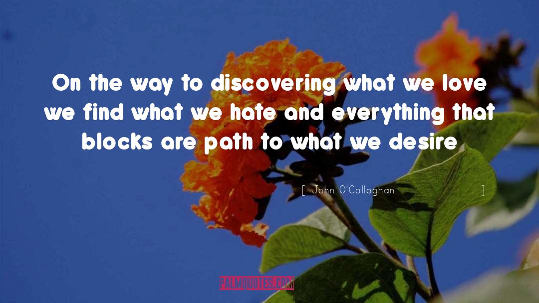 John O'Callaghan Quotes: On the way to discovering