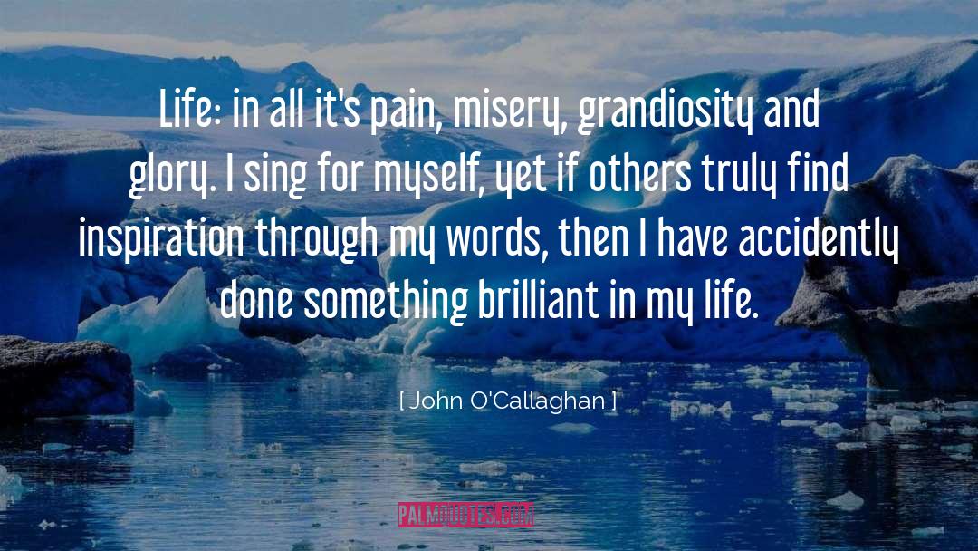 John O'Callaghan Quotes: Life: in all it's pain,