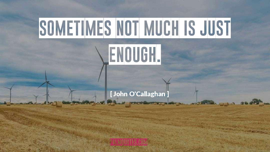 John O'Callaghan Quotes: Sometimes not much is just