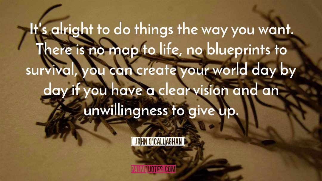 John O'Callaghan Quotes: It's alright to do things