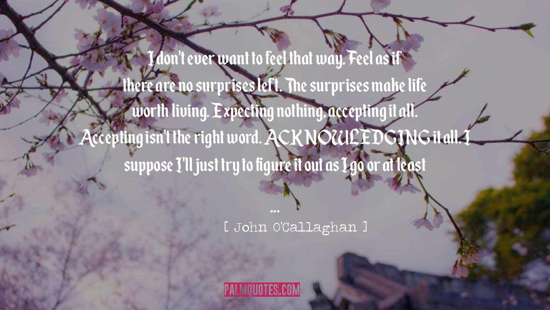 John O'Callaghan Quotes: I don't ever want to