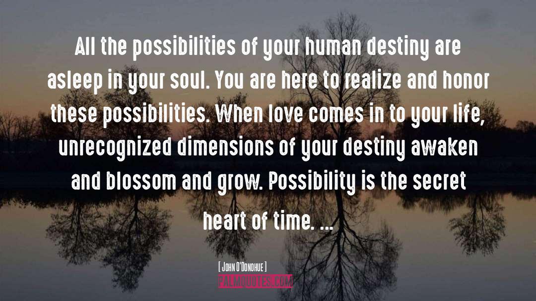 John O’Donohue Quotes: All the possibilities of your