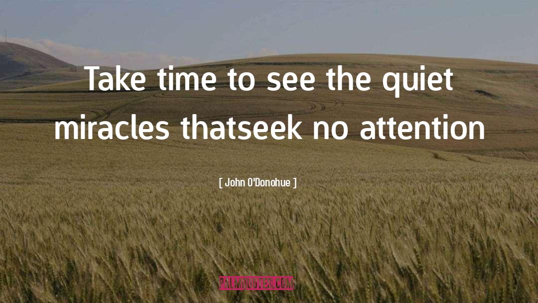 John O’Donohue Quotes: Take time to see the