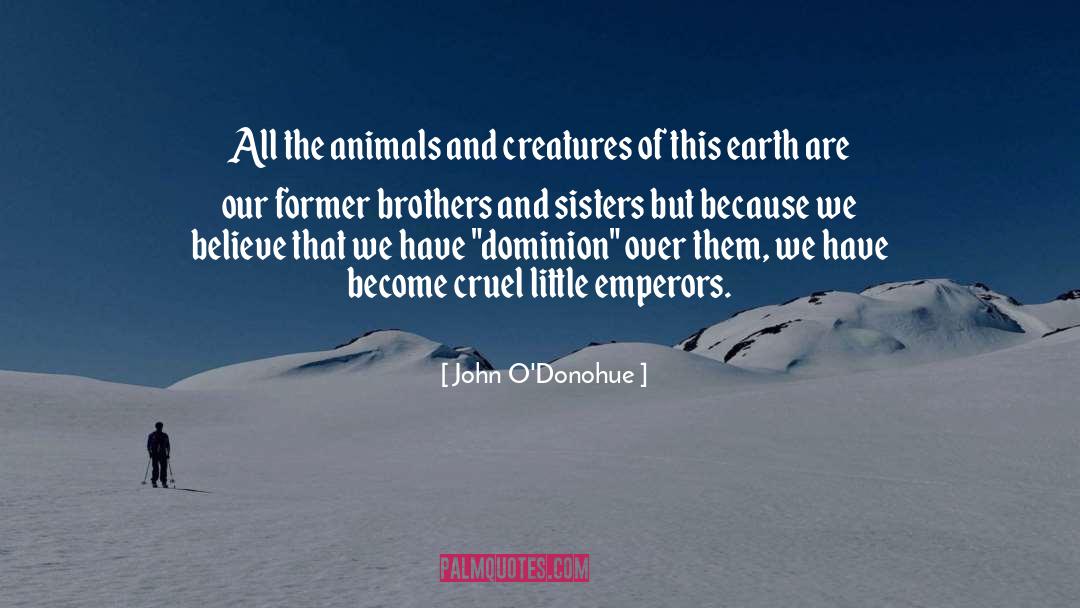 John O’Donohue Quotes: All the animals and creatures