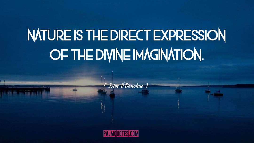 John O’Donohue Quotes: Nature is the direct expression