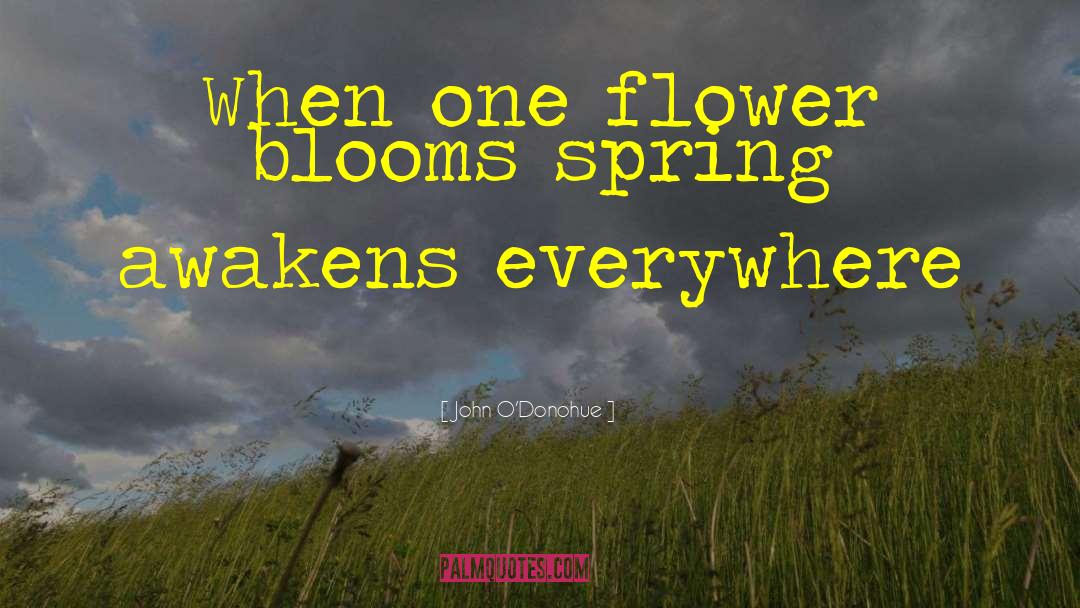 John O’Donohue Quotes: When one flower blooms spring