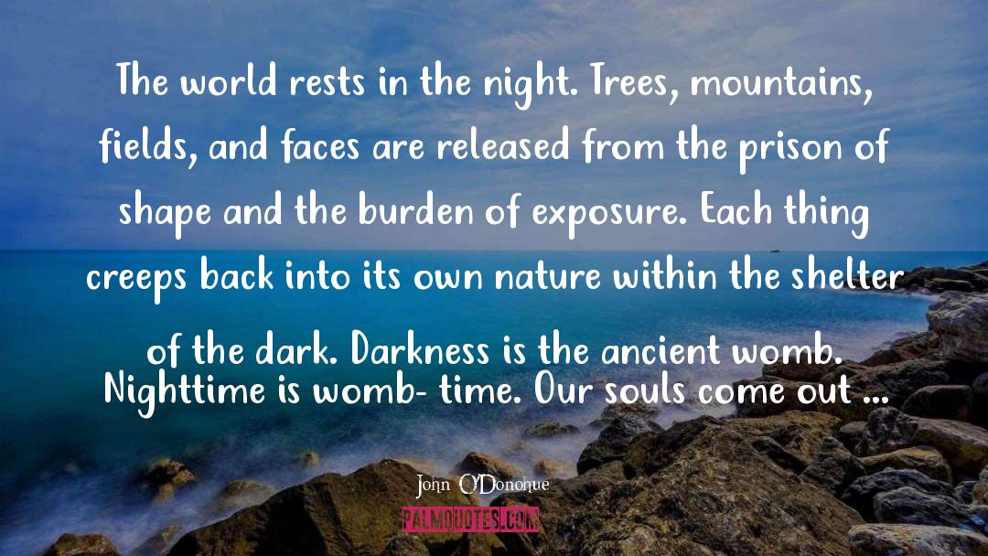 John O’Donohue Quotes: The world rests in the