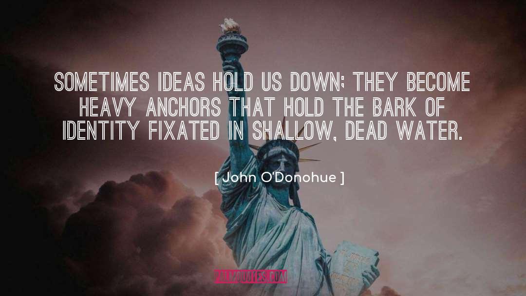 John O’Donohue Quotes: Sometimes ideas hold us down;