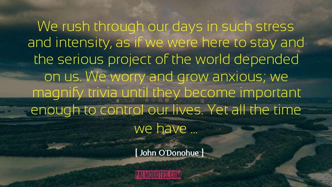 John O’Donohue Quotes: We rush through our days