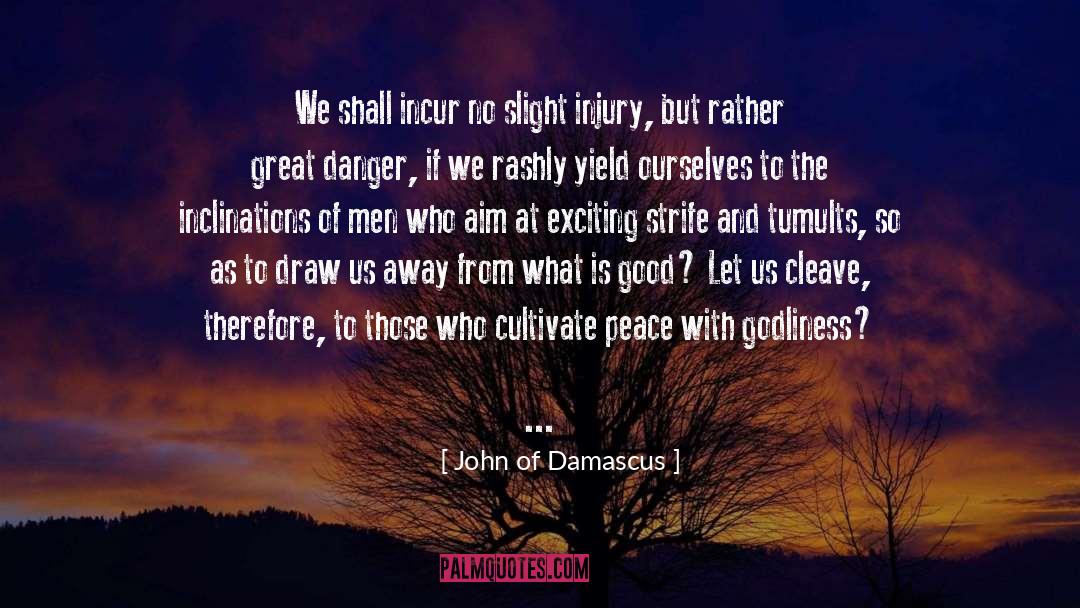 John Of Damascus Quotes: We shall incur no slight