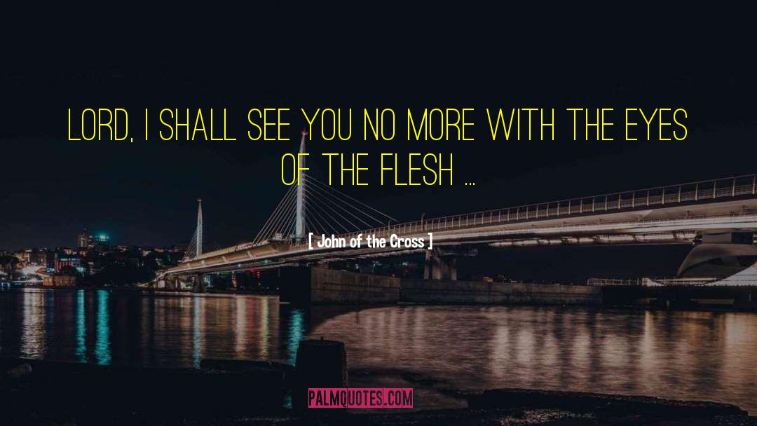 John Of The Cross Quotes: Lord, I shall see you