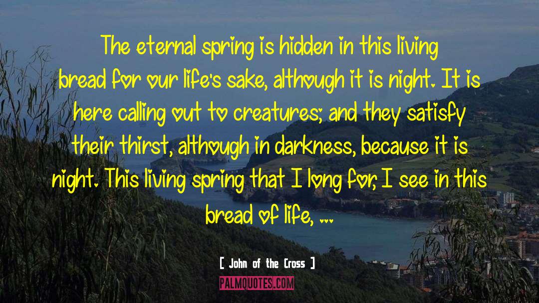 John Of The Cross Quotes: The eternal spring is hidden