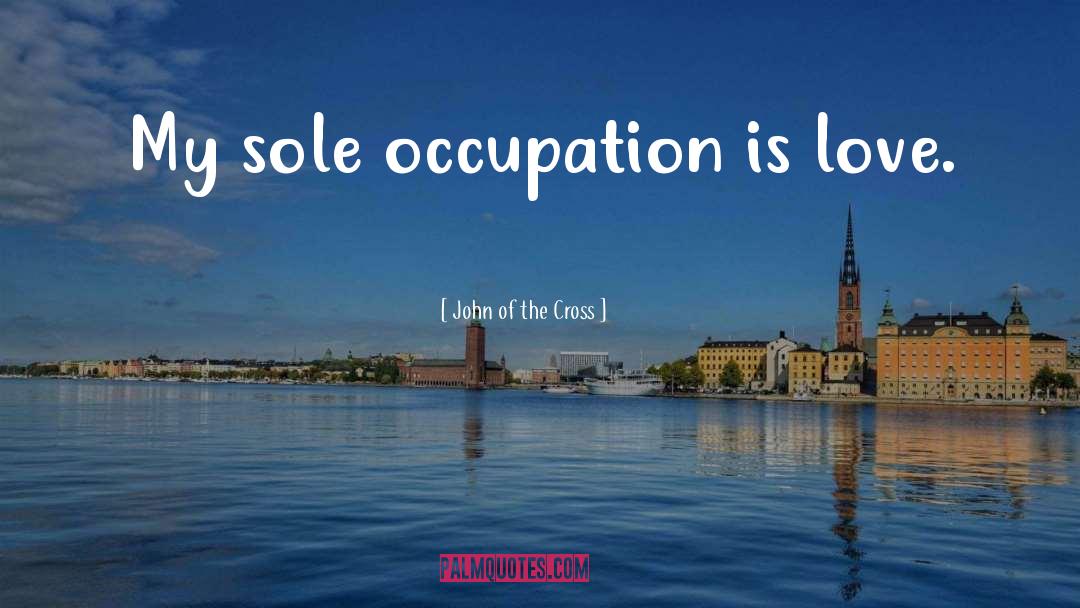 John Of The Cross Quotes: My sole occupation is love.