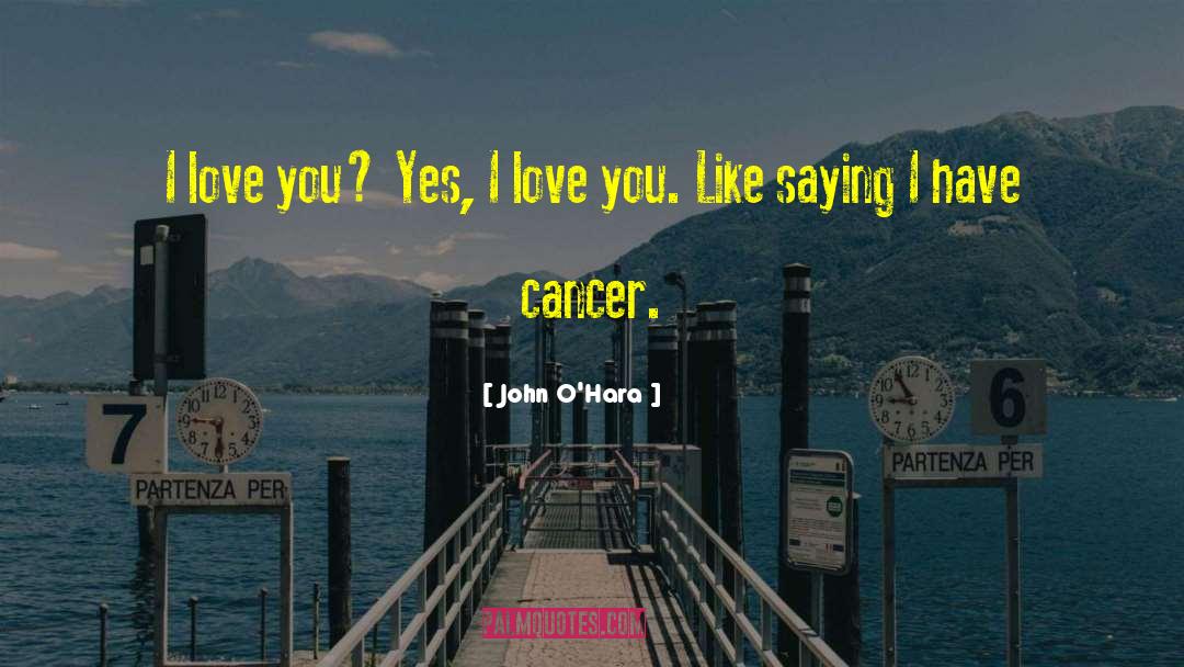 John O'Hara Quotes: I love you? Yes, I