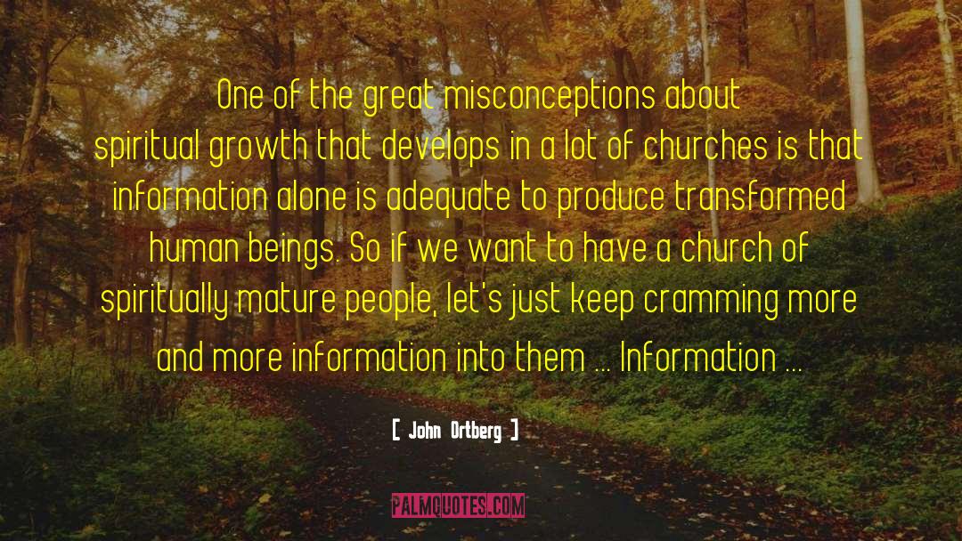 John Ortberg Quotes: One of the great misconceptions