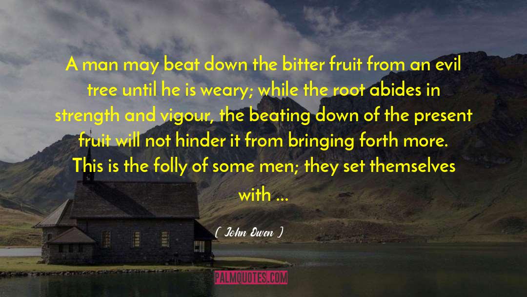 John Owen Quotes: A man may beat down