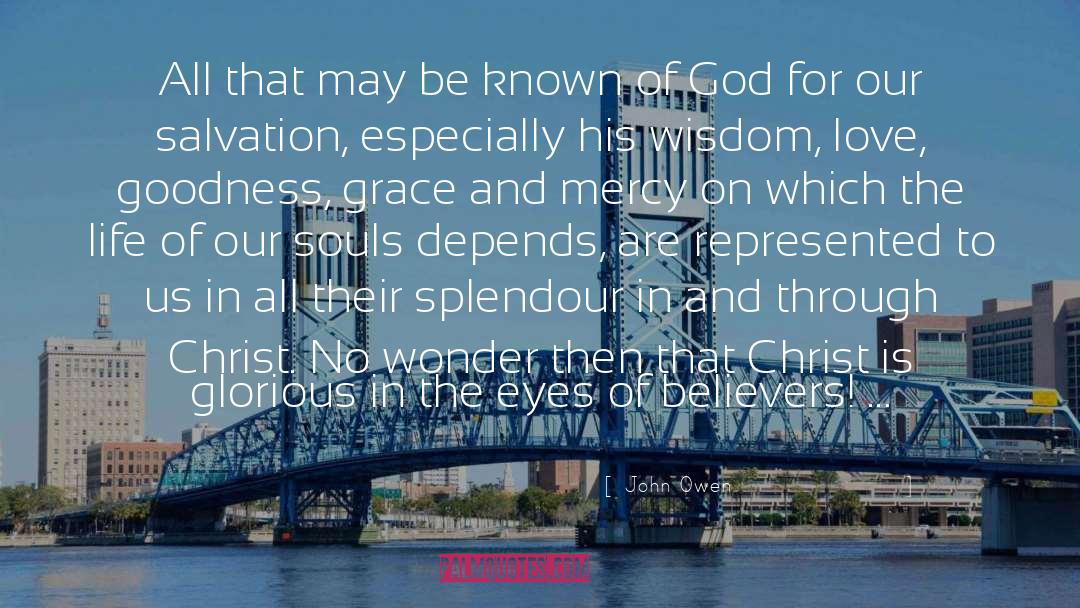 John Owen Quotes: All that may be known