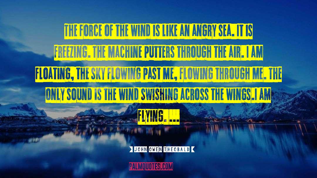 John Owen Theobald Quotes: The force of the wind