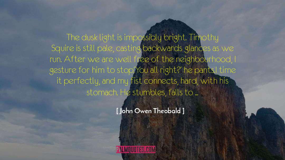 John Owen Theobald Quotes: The dusk light is impossibly