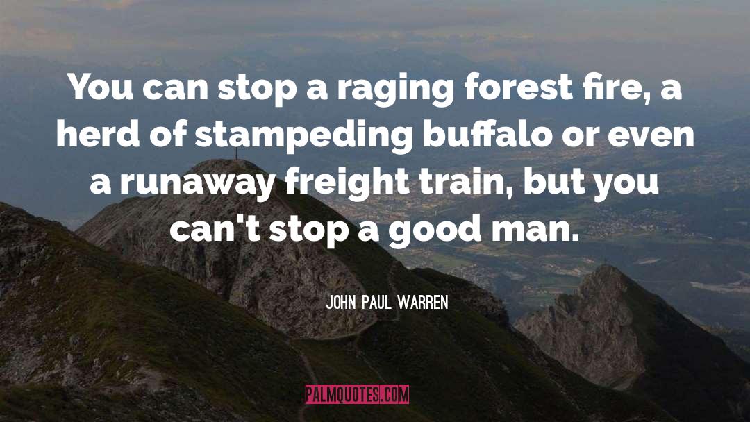John Paul Warren Quotes: You can stop a raging