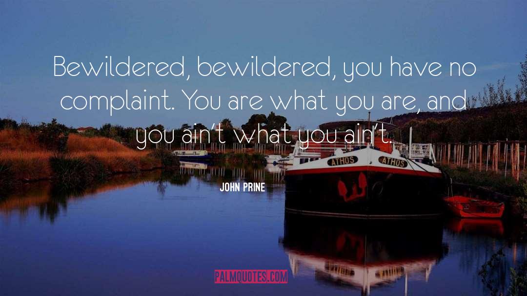 John Prine Quotes: Bewildered, bewildered, you have no