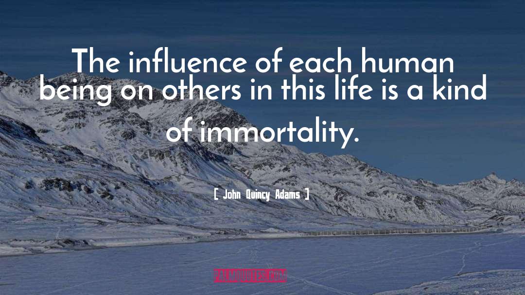 John Quincy Adams Quotes: The influence of each human