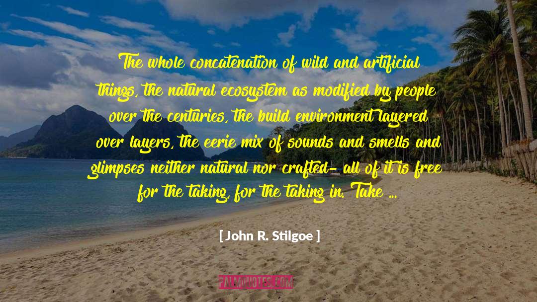 John R. Stilgoe Quotes: The whole concatenation of wild