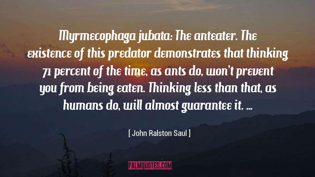 John Ralston Saul Quotes: Myrmecophaga jubata: The anteater. The