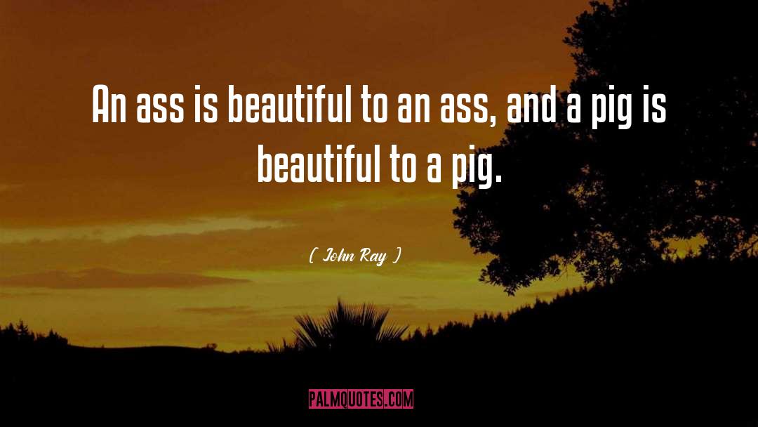 John Ray Quotes: An ass is beautiful to