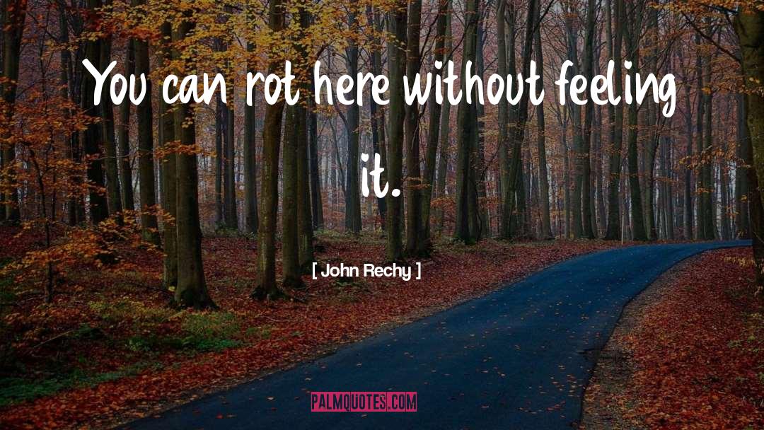 John Rechy Quotes: You can rot here without