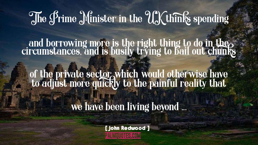 John Redwood Quotes: The Prime Minister in the