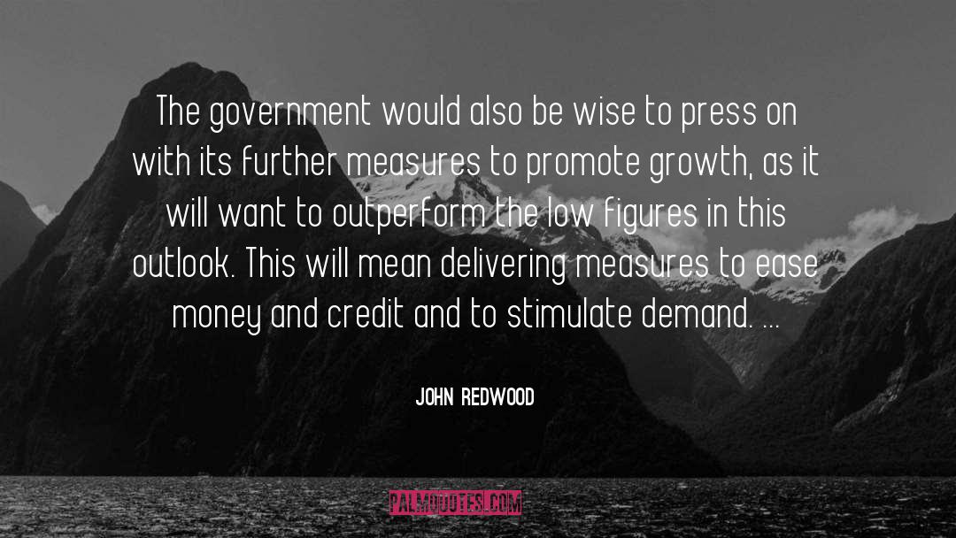 John Redwood Quotes: The government would also be