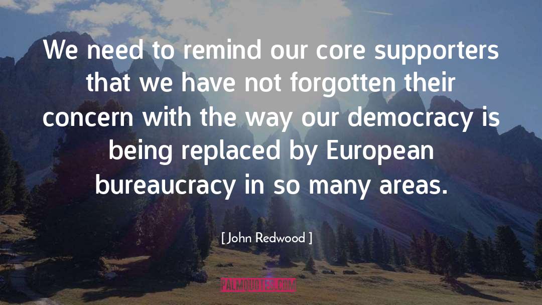 John Redwood Quotes: We need to remind our