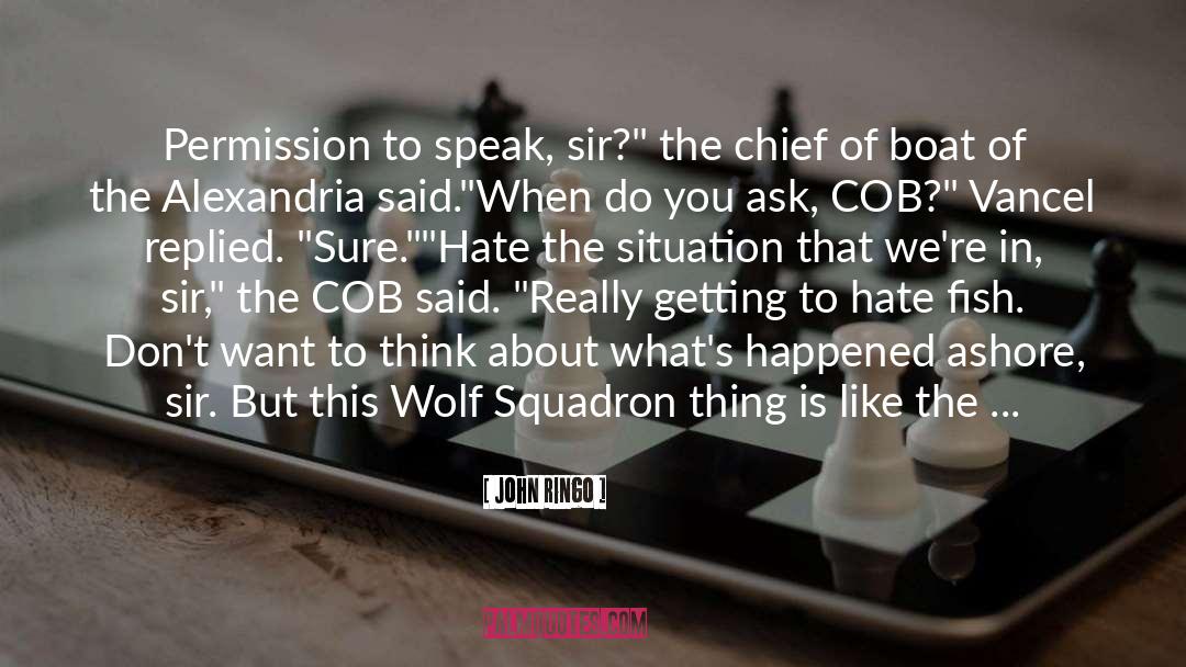 John Ringo Quotes: Permission to speak, sir?