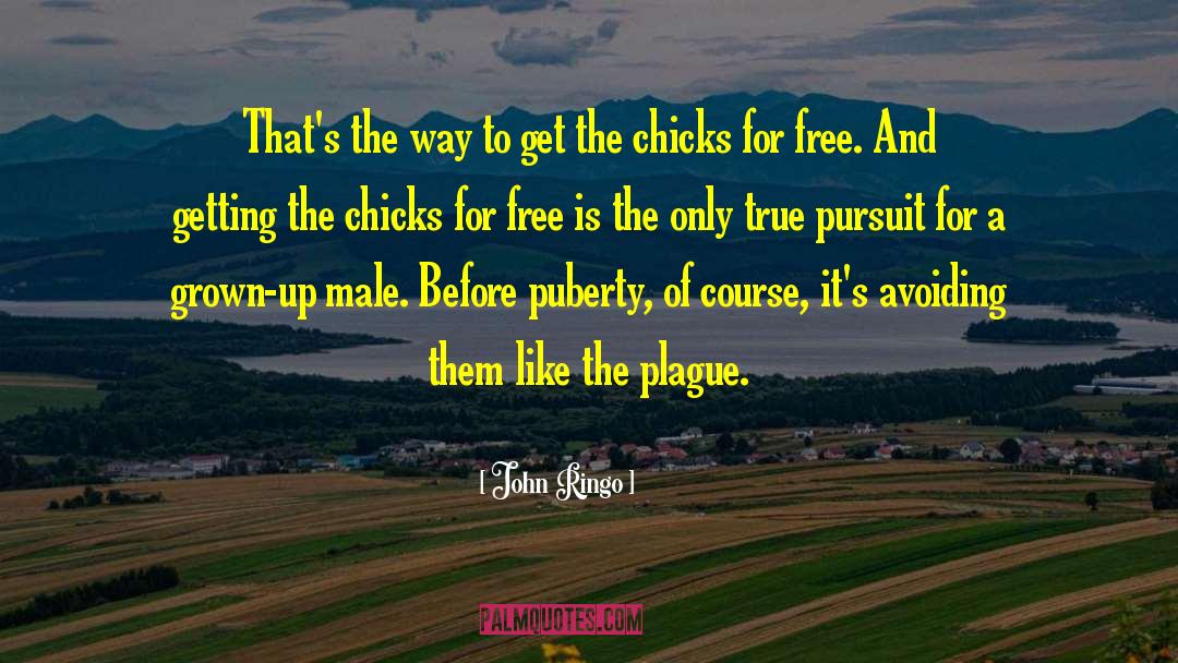 John Ringo Quotes: That's the way to get