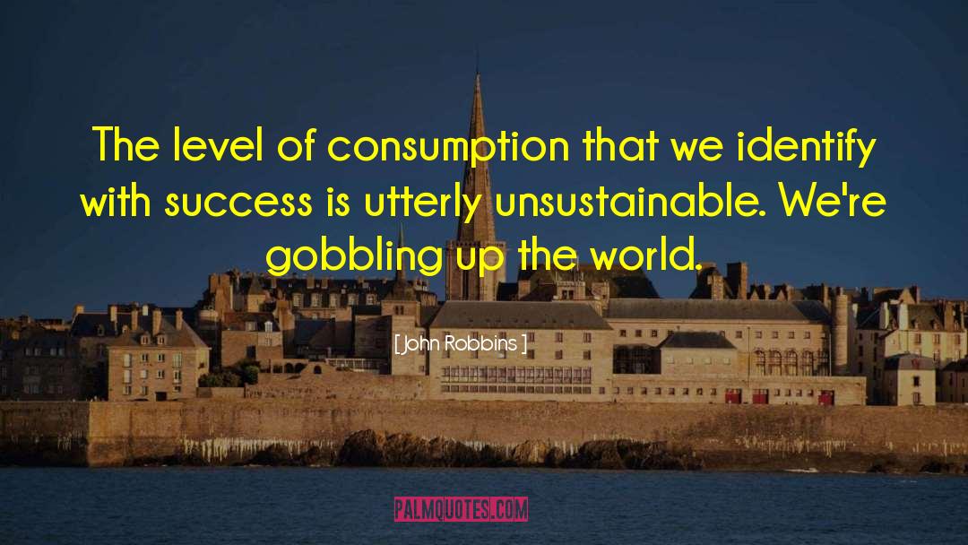 John Robbins Quotes: The level of consumption that