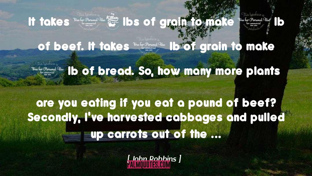John Robbins Quotes: It takes 16 lbs of