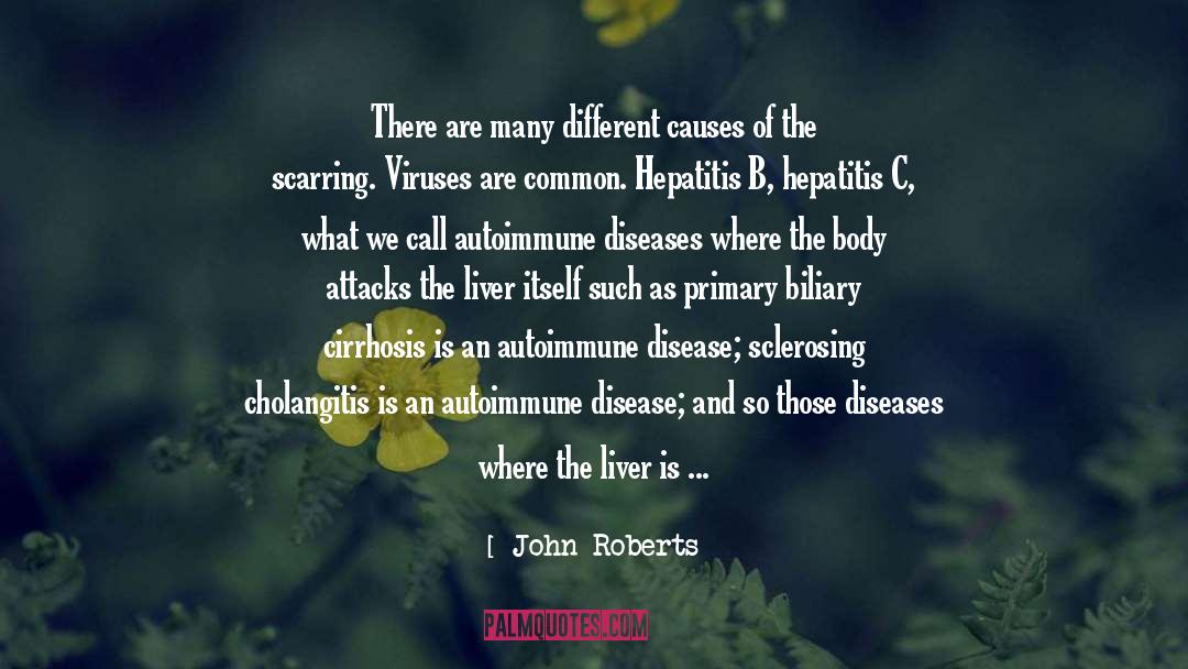 John Roberts Quotes: There are many different causes
