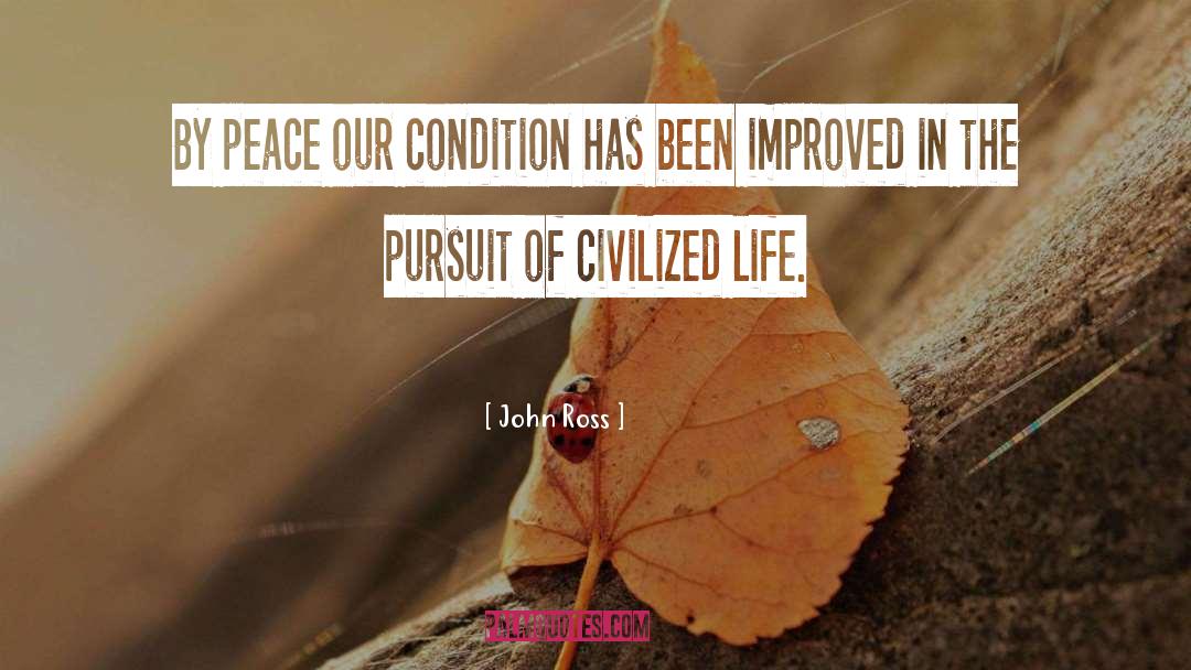 John Ross Quotes: By peace our condition has