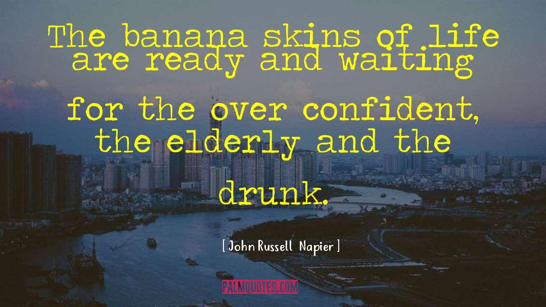 John Russell  Napier Quotes: The banana skins of life