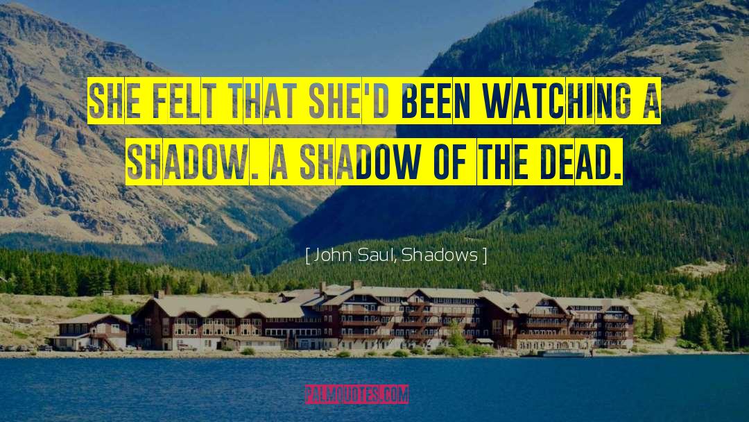 John Saul, Shadows Quotes: She felt that she'd been