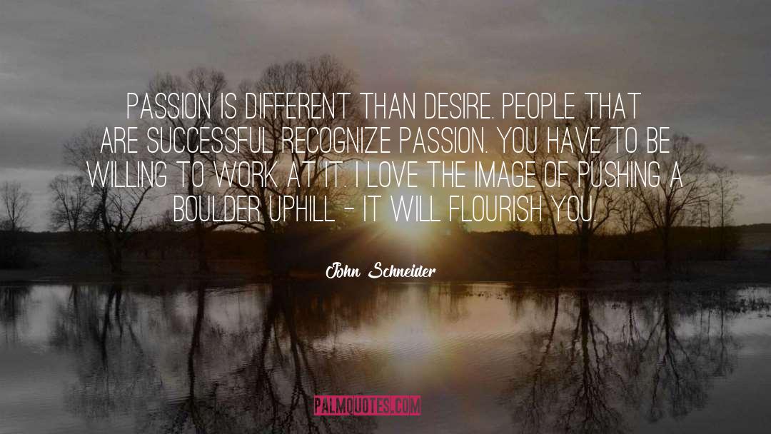 John Schneider Quotes: Passion is different than desire.
