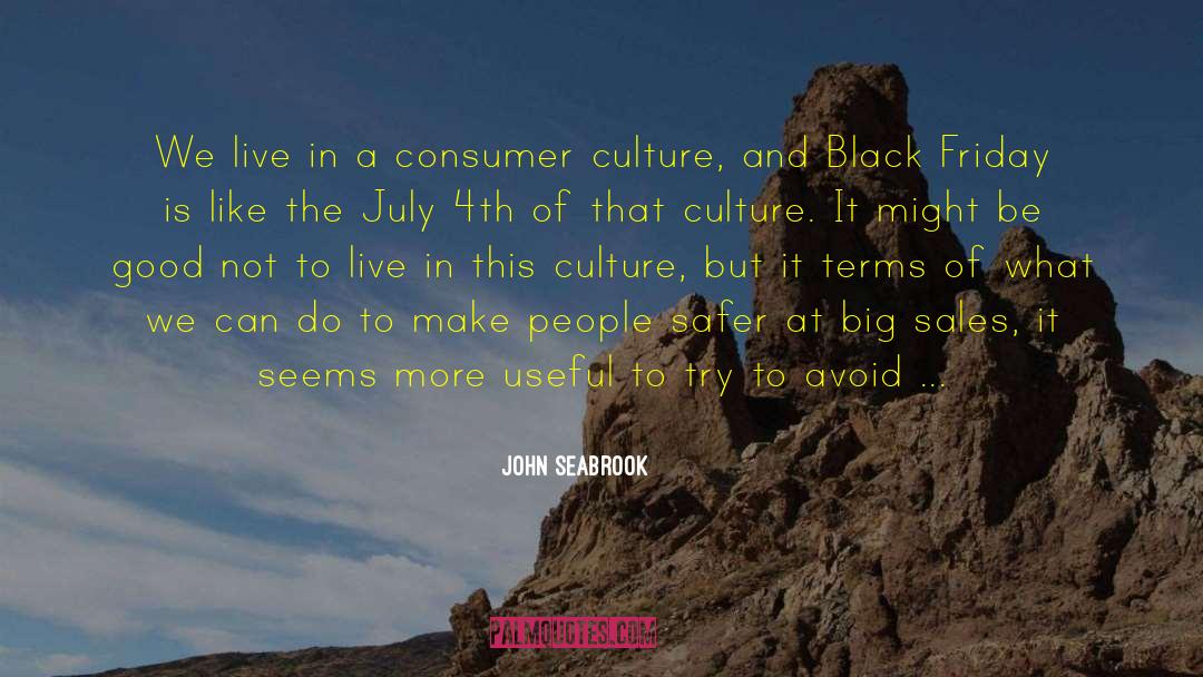 John Seabrook Quotes: We live in a consumer