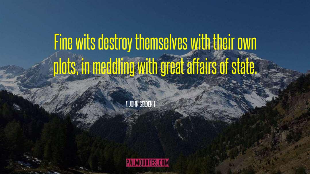 John Selden Quotes: Fine wits destroy themselves with