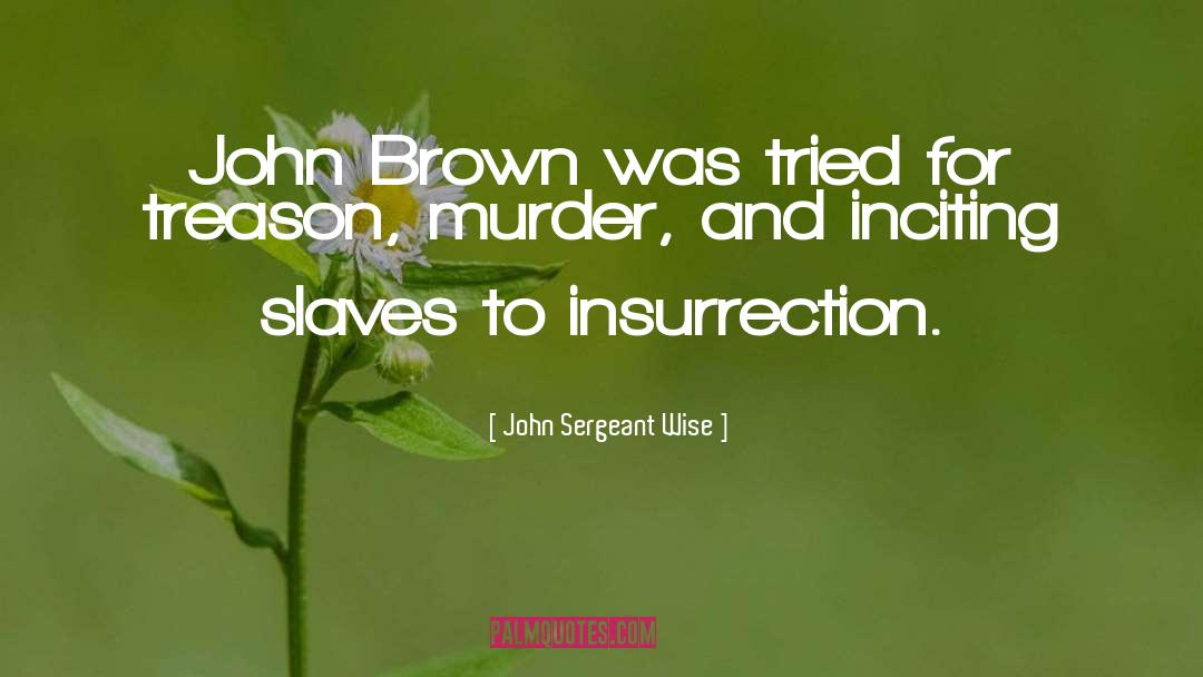 John Sergeant Wise Quotes: John Brown was tried for